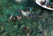 Wisata Pulau Seribu: Panduan Lengkap Liburan Bahari Dekat Jakarta yang Makin Diminati wisata pulau seribu